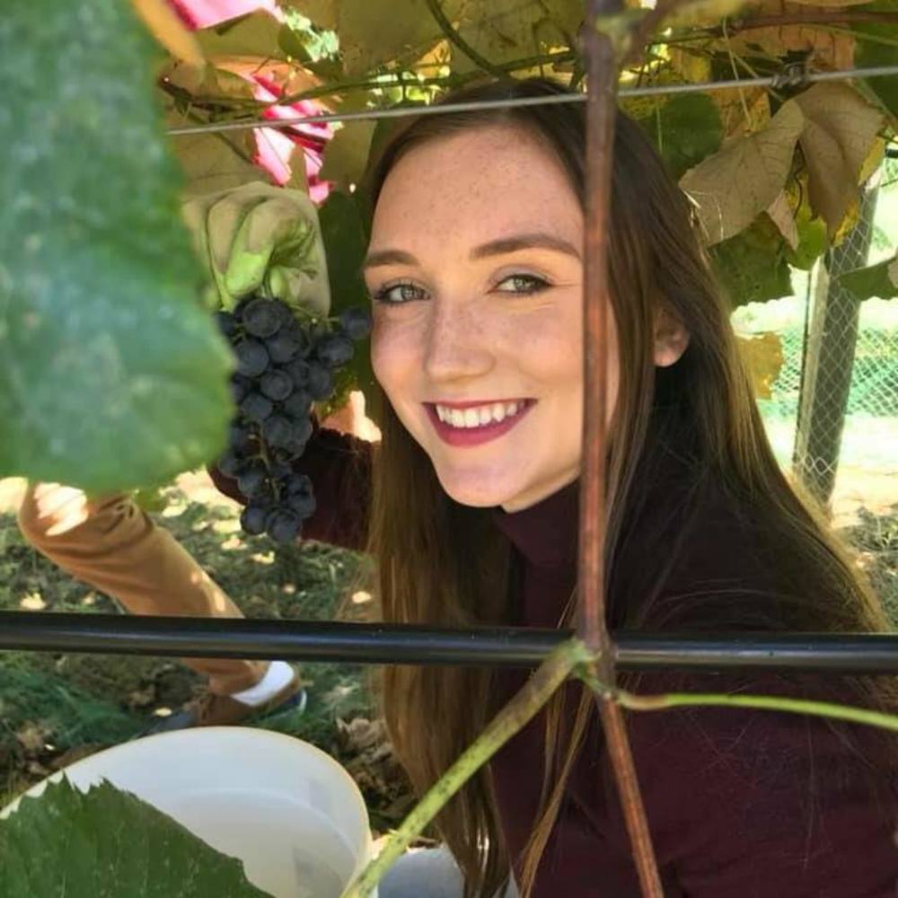 Meet your Posher, Elise